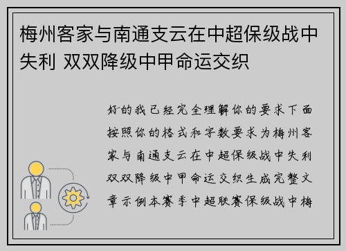 梅州客家与南通支云在中超保级战中失利 双双降级中甲命运交织